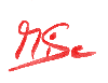 schriftzug